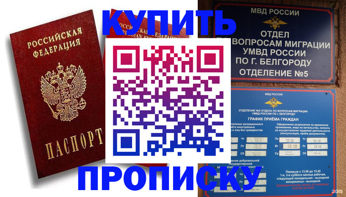 прописка иностранных граждан в Мурманской области